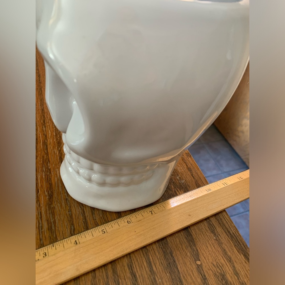 Skull ceramic white vase Variegated monstera leaves bundles halloween - Picture 7 of 9